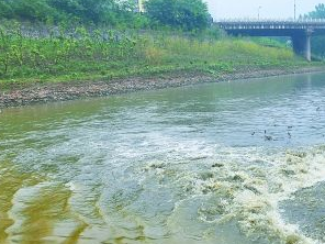 保定高碑店污水清运多少钱